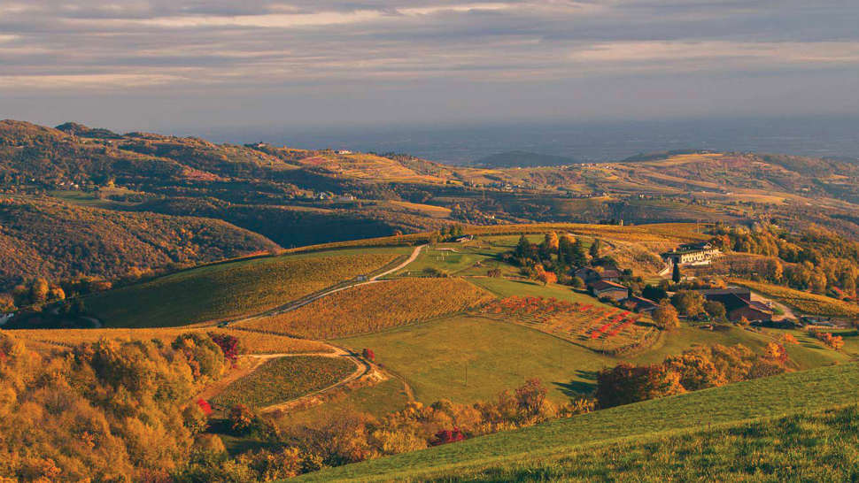 Ca’ del Moro Wine Retreat
